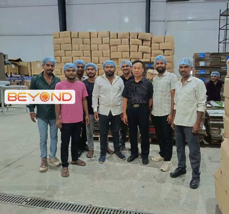 Instalación de maquinaria de Beyond en Maharashtra (India) con el equipo de la planta